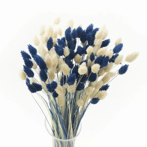 Dried grasses bouquet phalaris bleached & phalaris dark blue