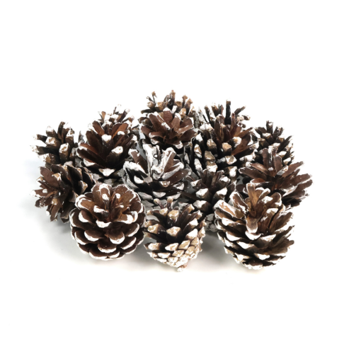 Suszone szyszki sosnowe (pine cone) frosted do dekoracji