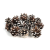 Suszone szyszki sosnowe (pine cone) frosted do dekoracji