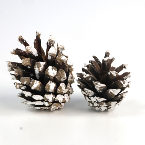 Suszone szyszki sosnowe (pine cone) frosted do dekoracji