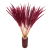 trawa leśna (2).png