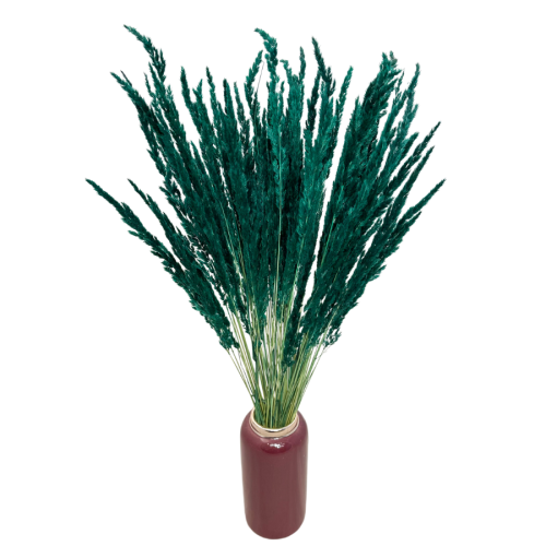 trawa leśna (3).png