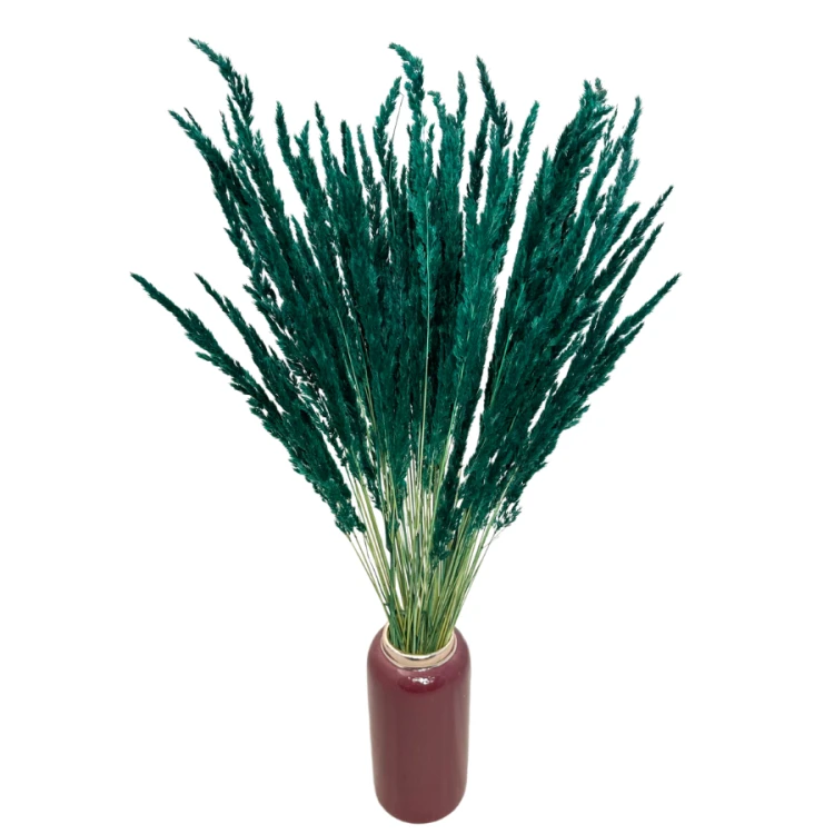 trawa leśna (3).png
