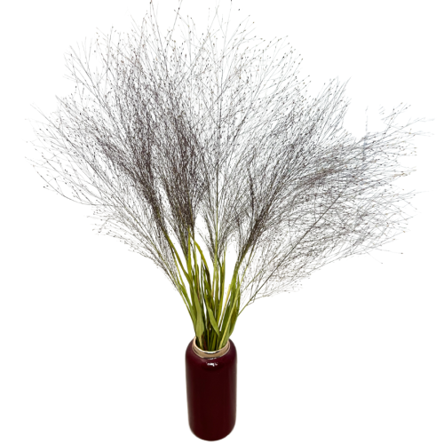 Zdjęcia produktowe (12).png