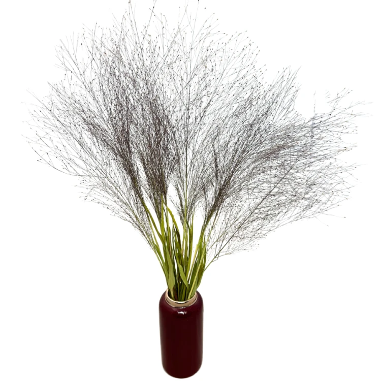 Zdjęcia produktowe (12).png