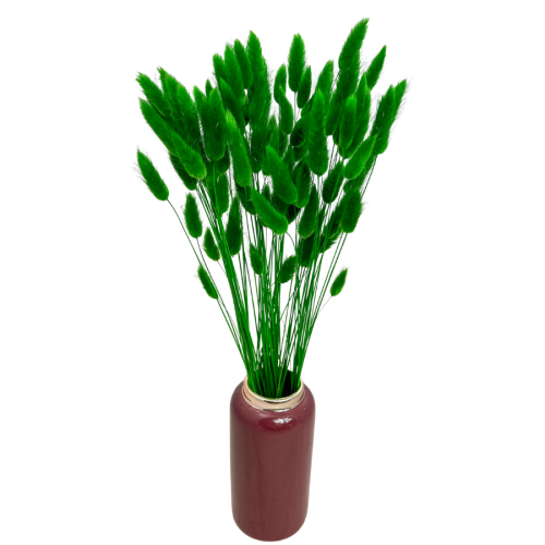 cziel (2).png