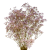 gipsr (4).png