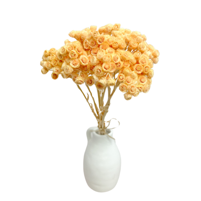 Dried peach Immortelle