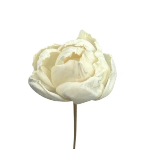 Kwiat shola - piwonia biała/kremowa 6 cm na łodydze 