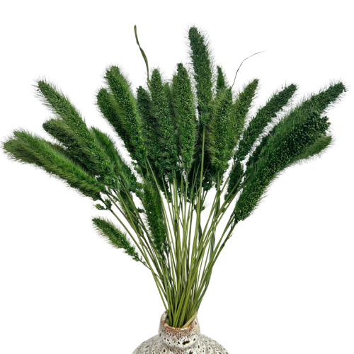 Zdjęcia produktowe (6).png