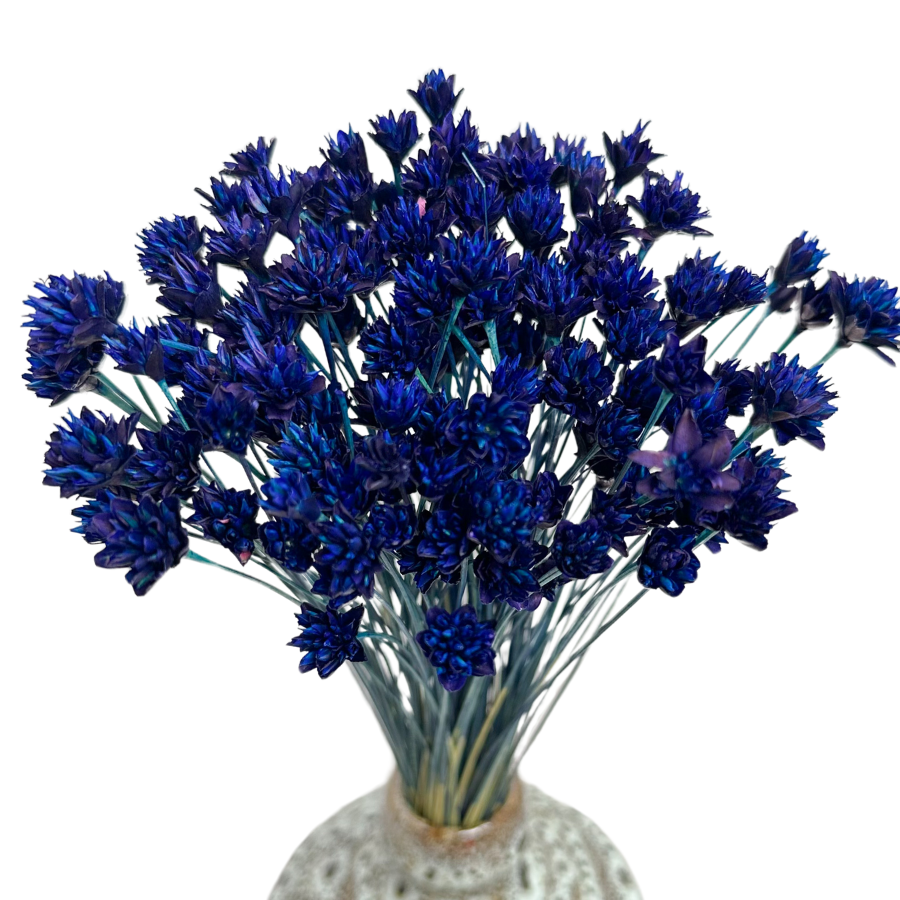 Hill flower dark blue- dried flowers 80g