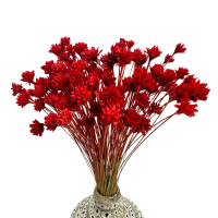 Hill flower red- dried flowers 80g