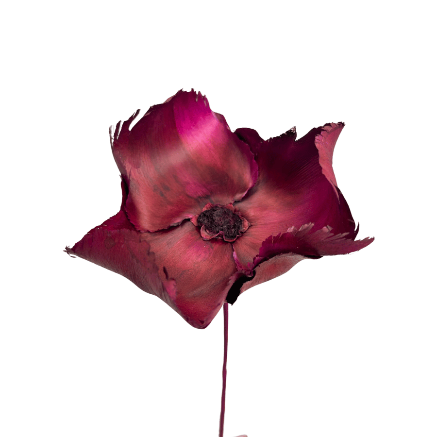 Walnut flower - palm cup fuchsia