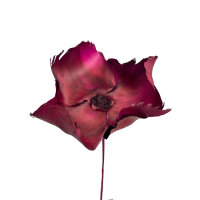 Walnut flower - palm cup fuchsia