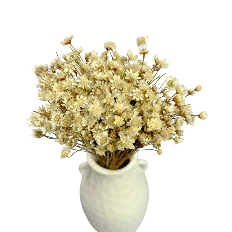 Zdjęcia produktowe (16).png