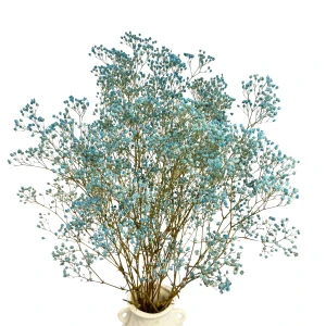 Preserved blue gypsophila - bouquet