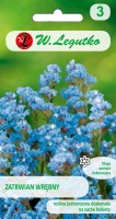Blue statice seeds - flowers for dry bouquets
