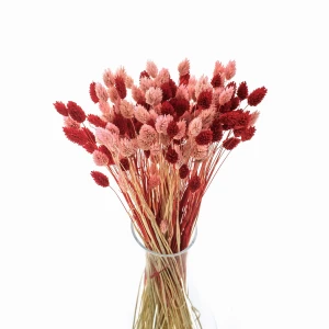 Dried grasses bouquet phalaris light pink & phalaris red