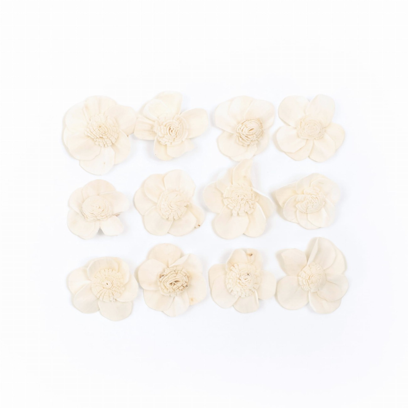 Shola flower - white daisy 3cm