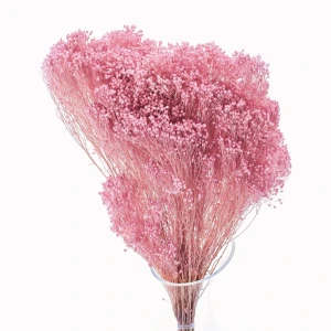 Broom Bloom light pink100g - broom - dried flowers
