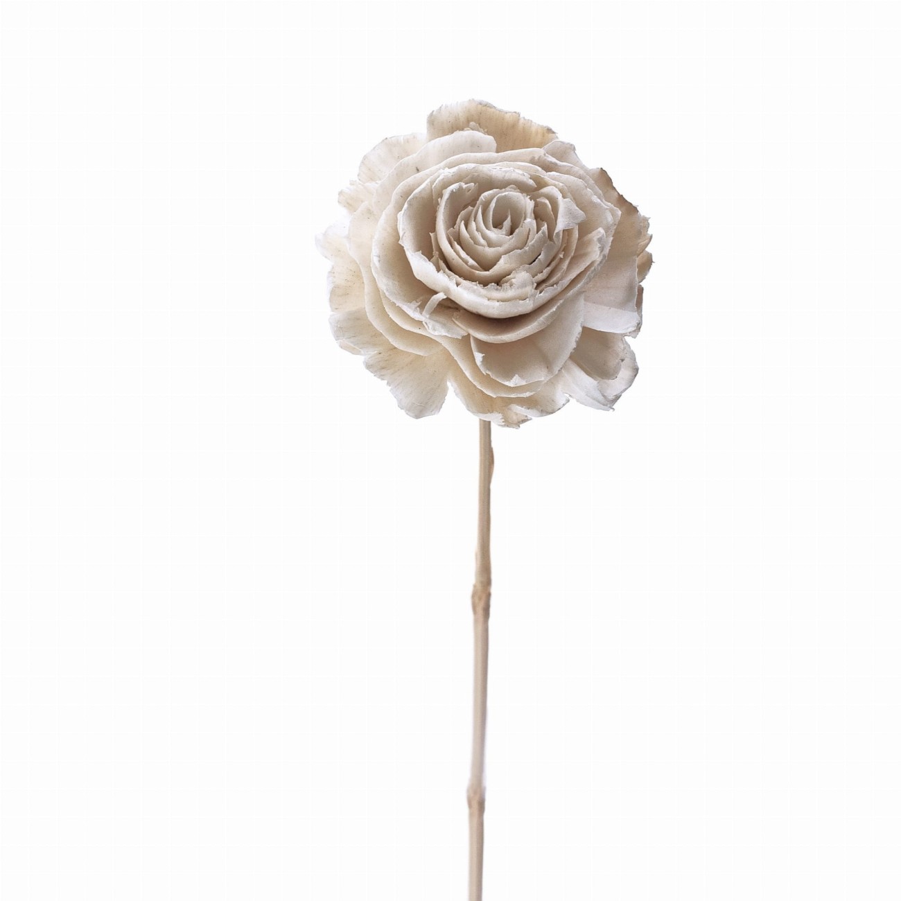 Shola flower - white rose 6cm on stick