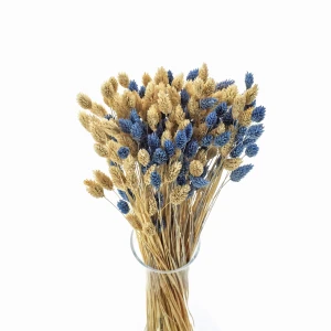 Dried grasses bouquet phalaris blue & phalaris bleached