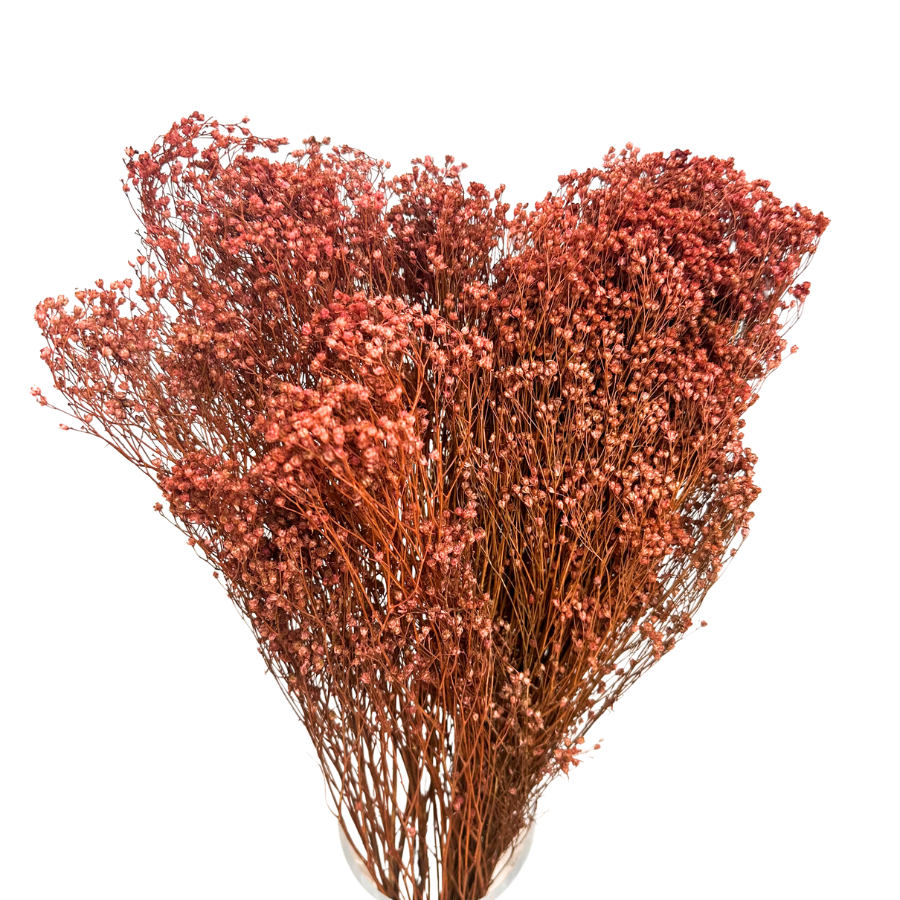 Broom Bloom light brown 90g (mocha mousse) 
