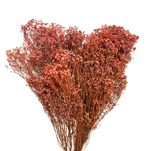 Broom Bloom light brown 90g (mocha mousse) 