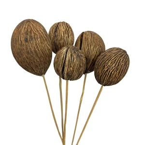 Mintola Ball natural 3 pcs. - exotic dried flowers