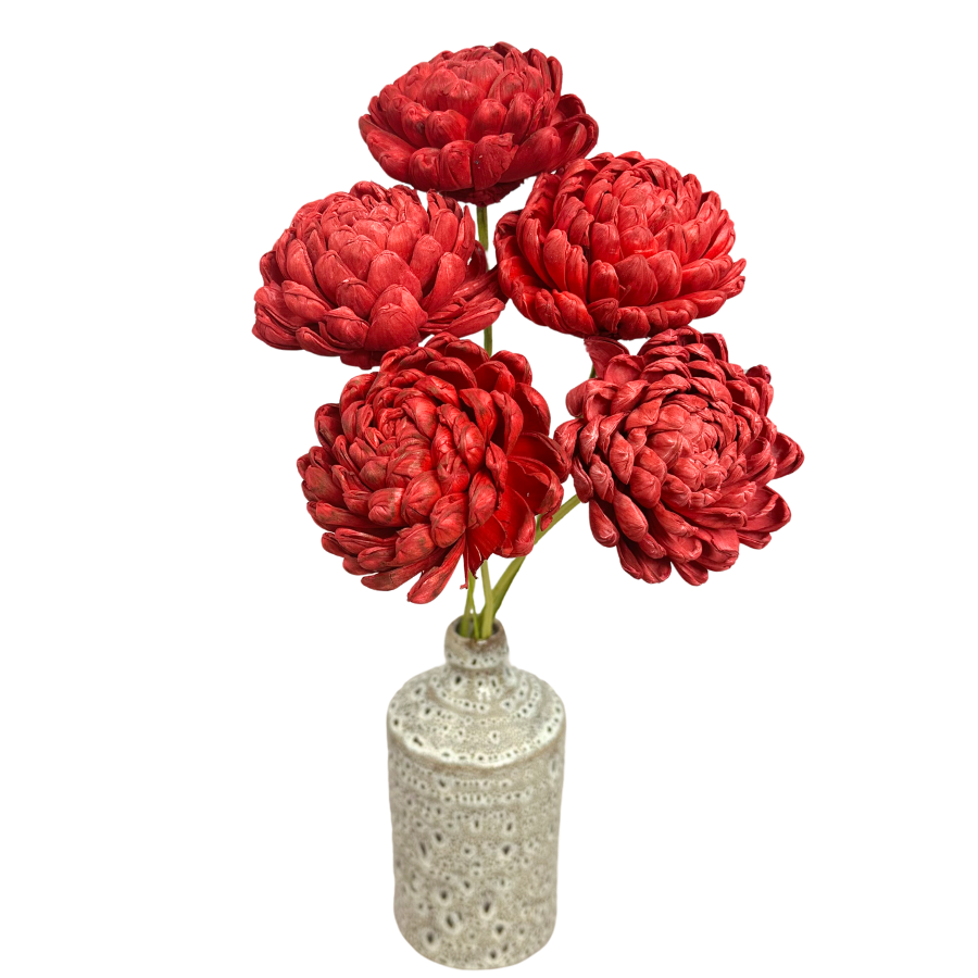 Shola flower - red chrysanthemum 8 cm on stick