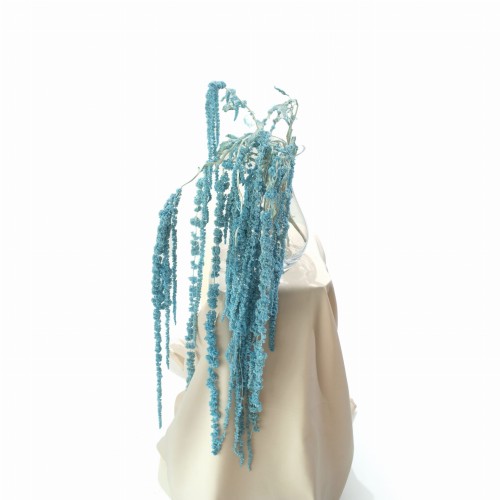 _DSC6036.jpg