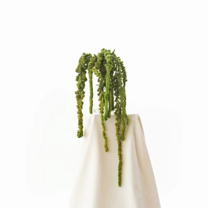 Preserved amaranthus ball green