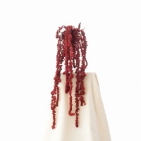 Amarantus  ball stabilizowany czerwony (Szarłat) - bukiet