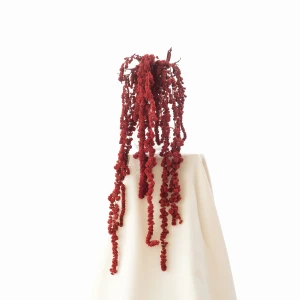 Preserved amaranthus ball red