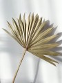 Suszony liść palmy "Palm Sun"