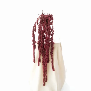 Preserved amaranthus ball bordoux