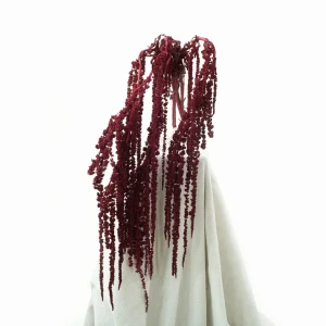 Preserved amaranthus bordeaux
