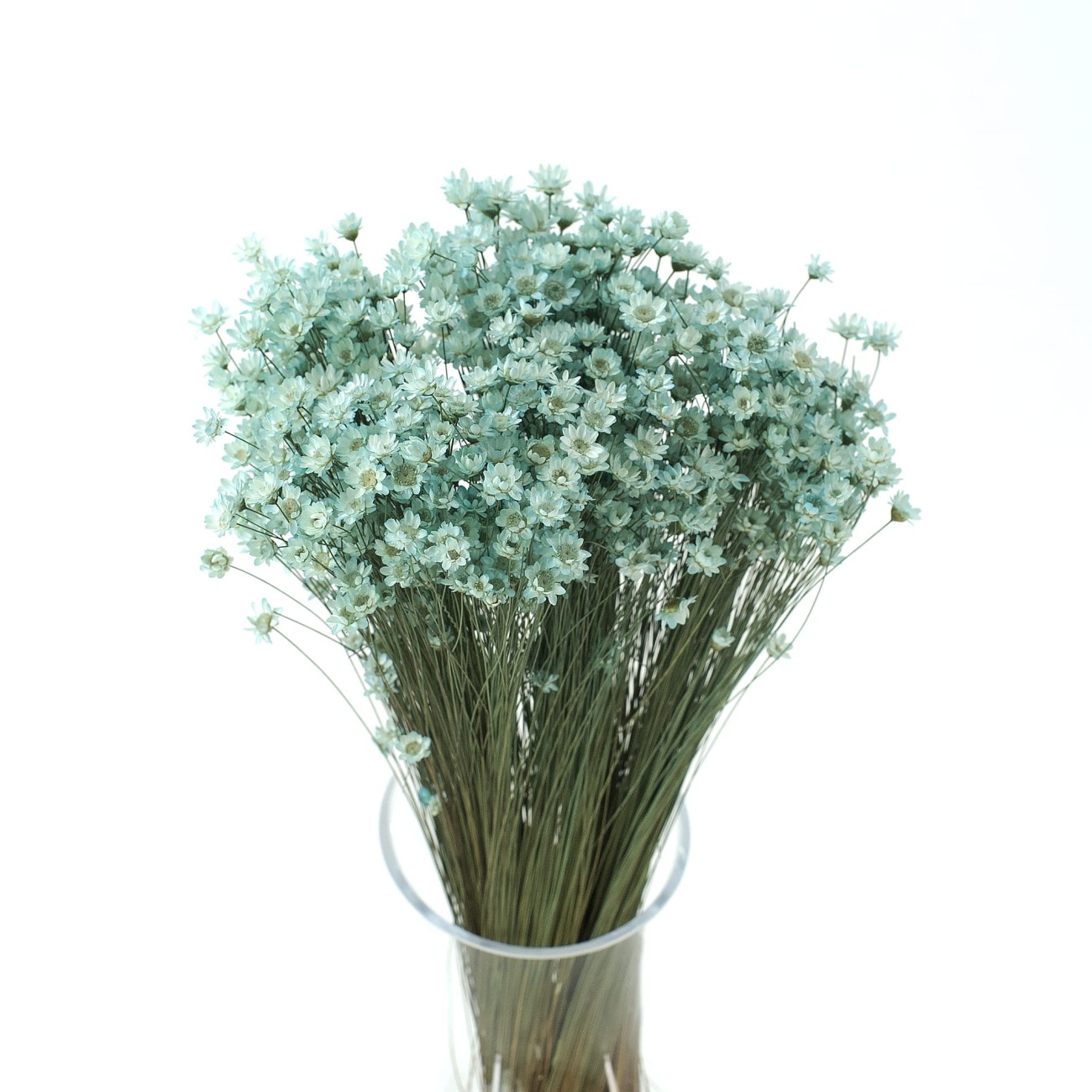 Dried mint glyxia, glixia - dried flowers 50 g