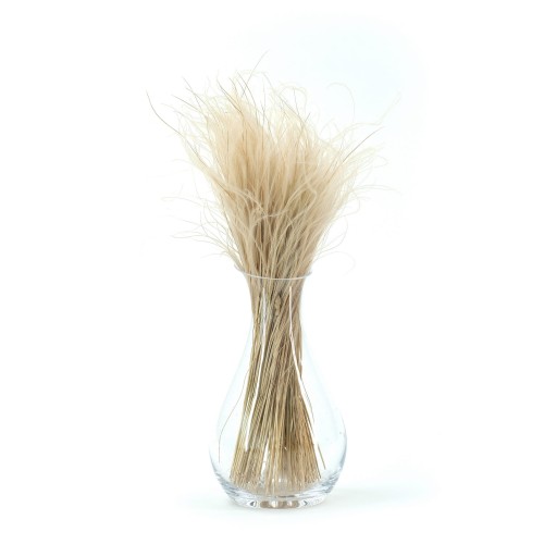 Stipa Pennata naturalna