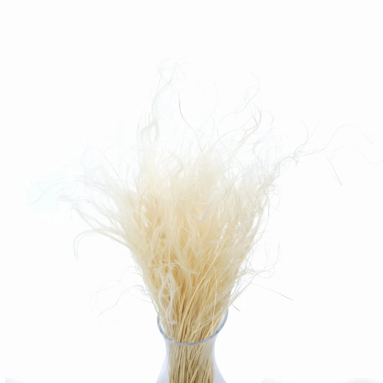 Stipa Pennata bielona