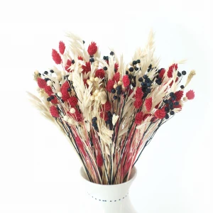Dried flowers bouquet Red&Blue