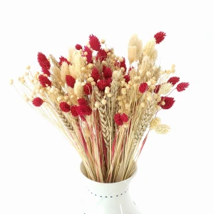 Bukiet suszonych kwiatów Natural&Red - pszenica, len , phalaris