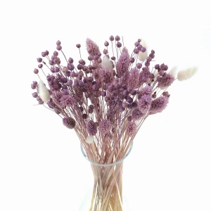 Dried flowers bouquet Violet size S 