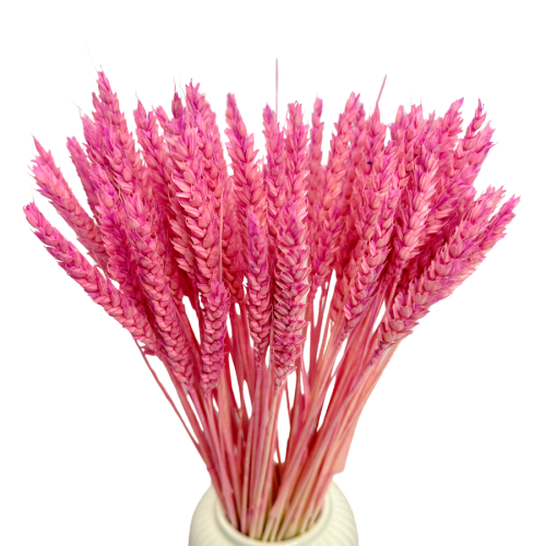 Zdjęcia produktowe (16).png