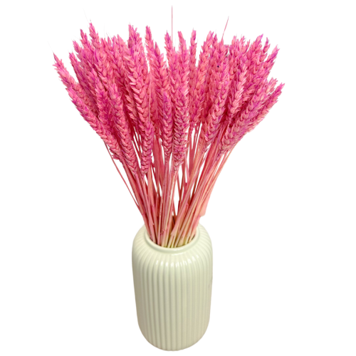 Zdjęcia produktowe (17).png