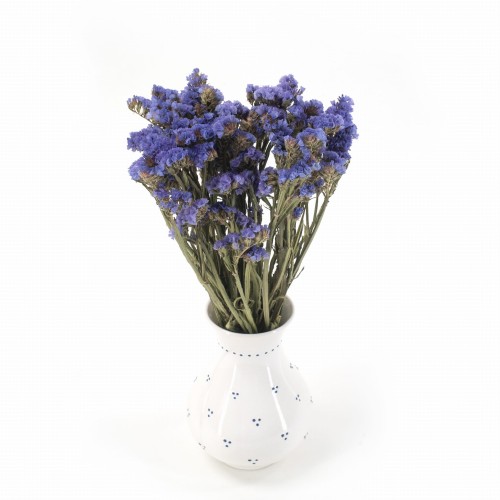 Zatrwian wrębny niebieski (limonium) - suszone kwiaty