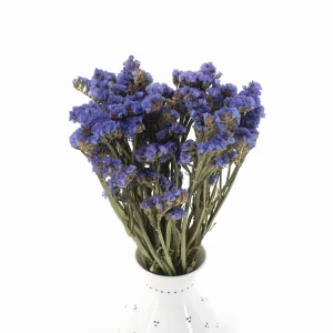 Zatrwian wrębny suszony  niebieski (limonium) - suszone kwiaty 