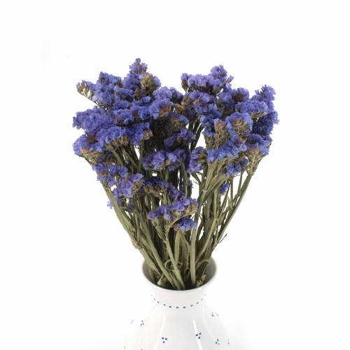 Zatrwian wrębny niebieski (limonium) - suszone kwiaty