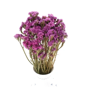 Zatrwian wrębny suszony różowy (limonium) - suszone kwiaty 