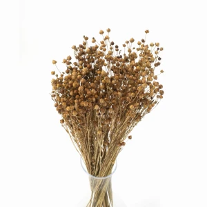 Suszony len naturalny - bukiet 90g - suszone kwiaty 